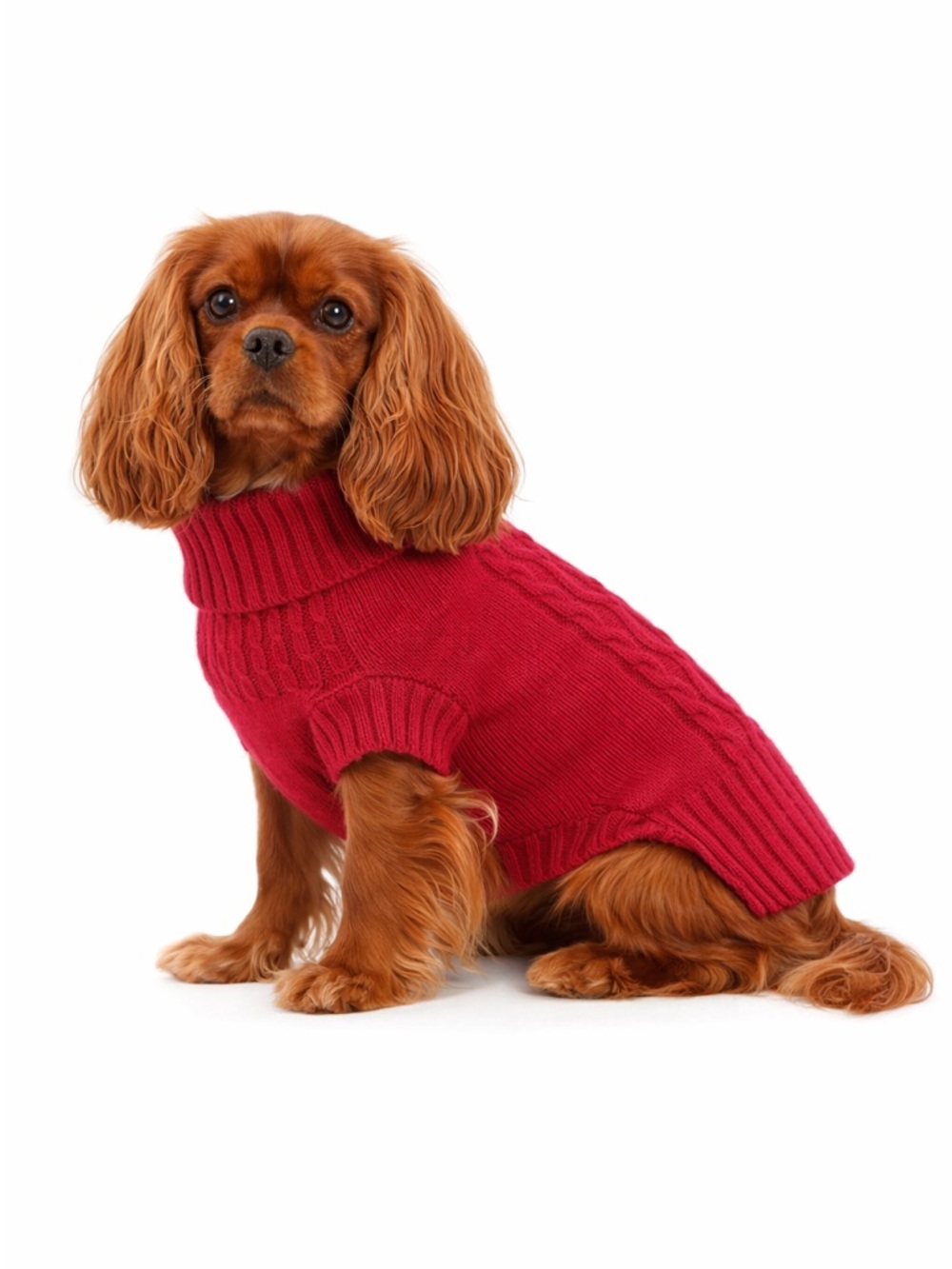 Red Cable Knit Dog Sweater w Turtleneck